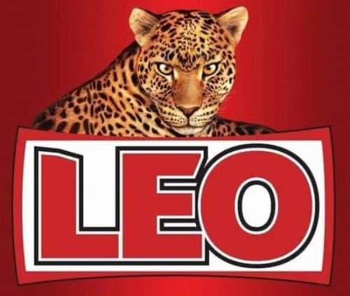 Leo Hostel Logo